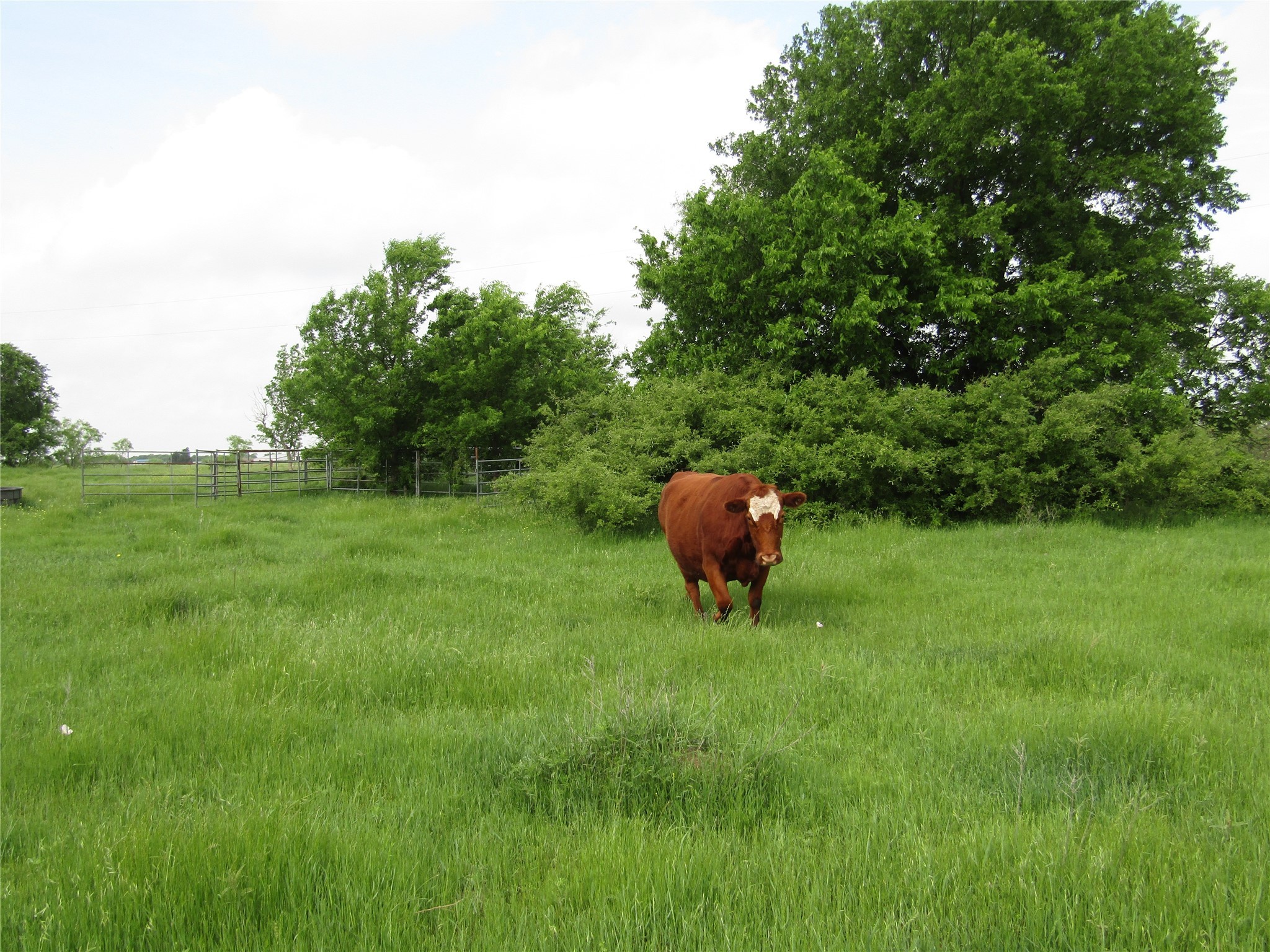 . Fm 2450 & Indian Trail Sanger TX 76249