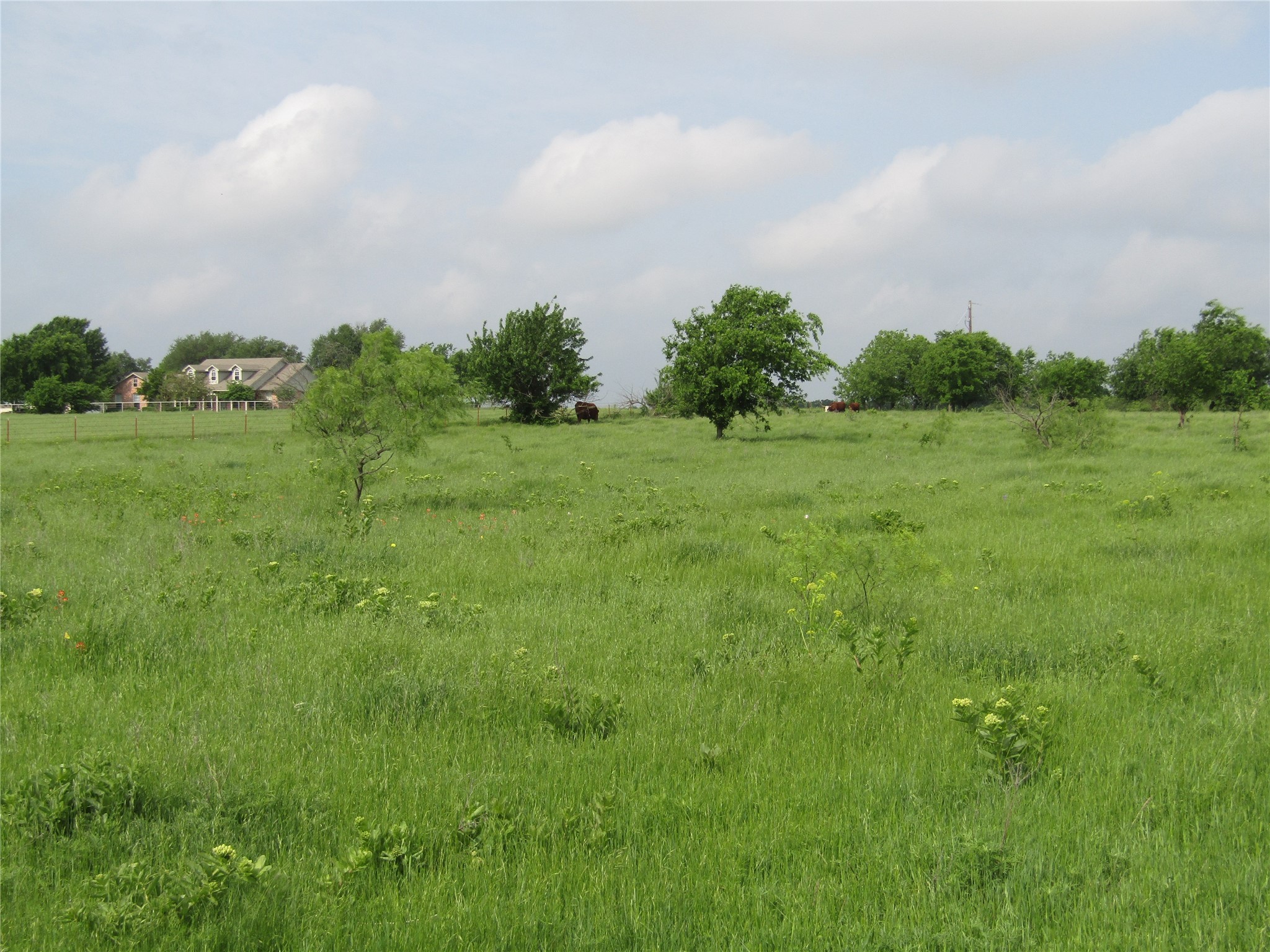 . Fm 2450 & Indian Trail Sanger TX 76249