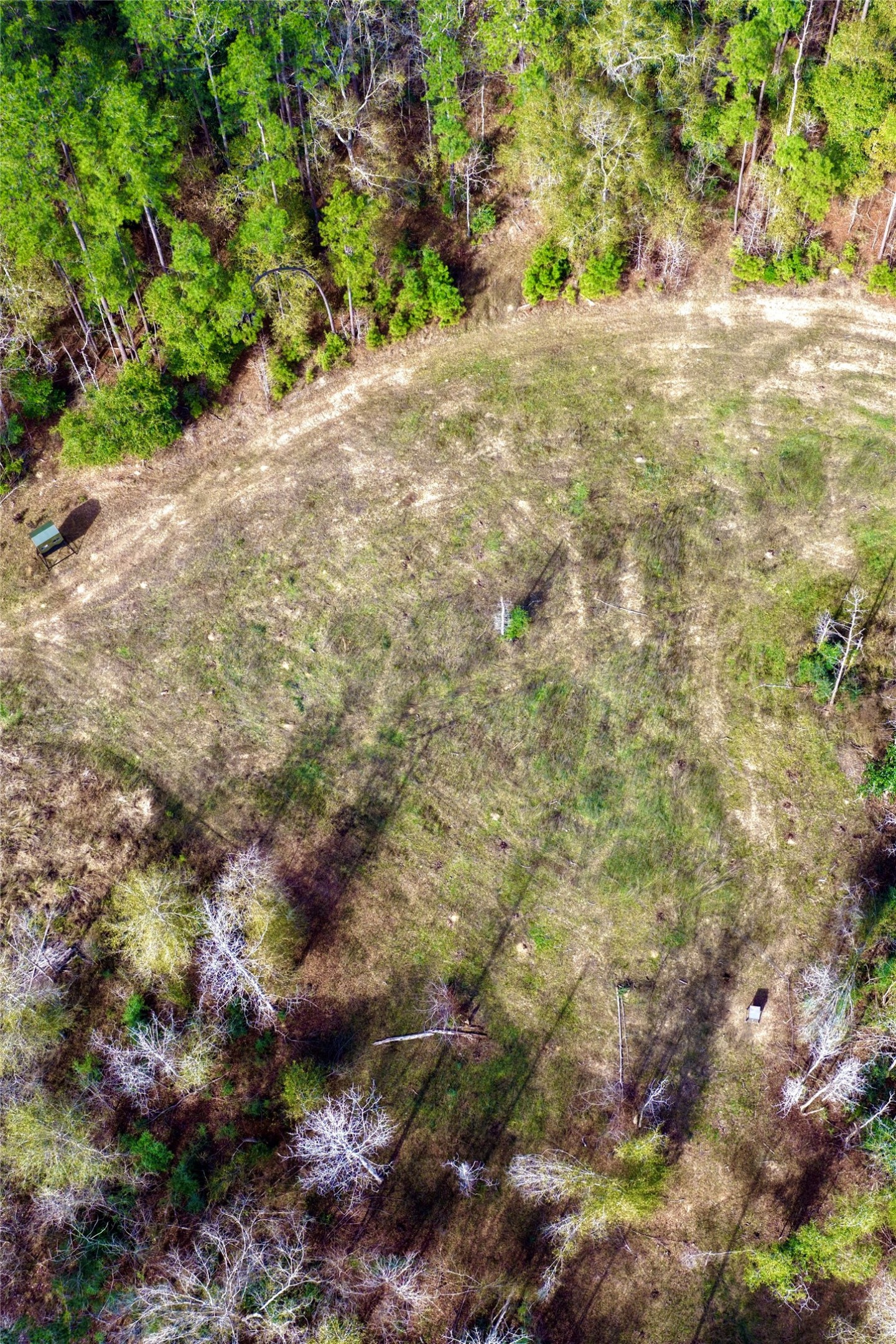 0000 Segno Fire Lane Livingston TX 77351