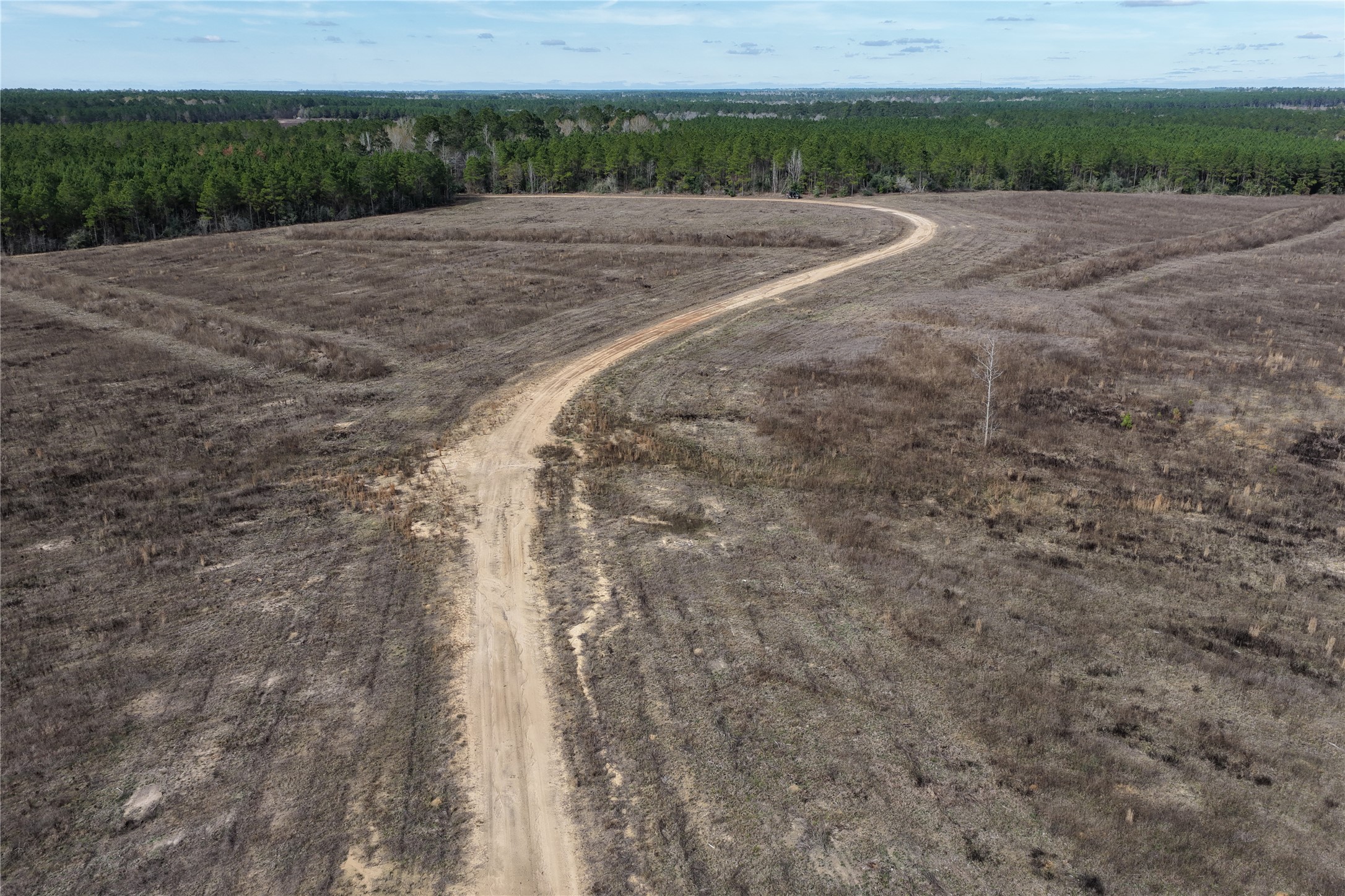 0000 Segno Fire Lane Livingston TX 77351