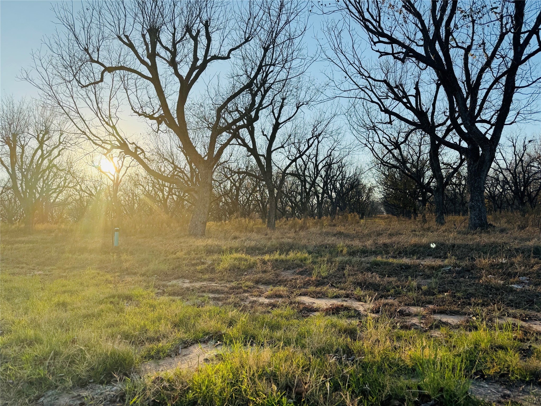 2519 Buckskin Drive Granbury TX 76049