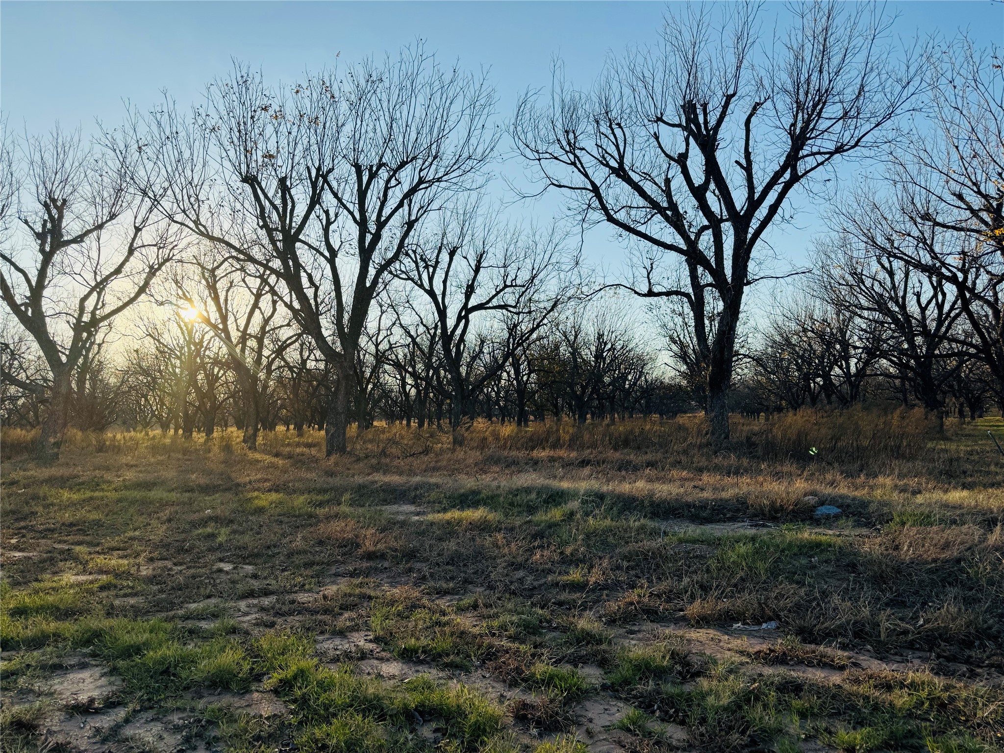 2519 Buckskin Drive Granbury TX 76049