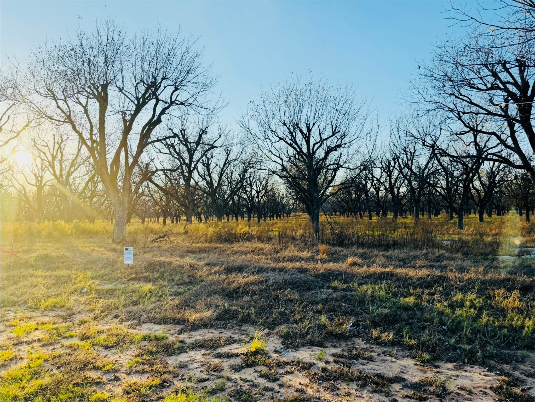2519 Buckskin Drive Granbury TX 76049