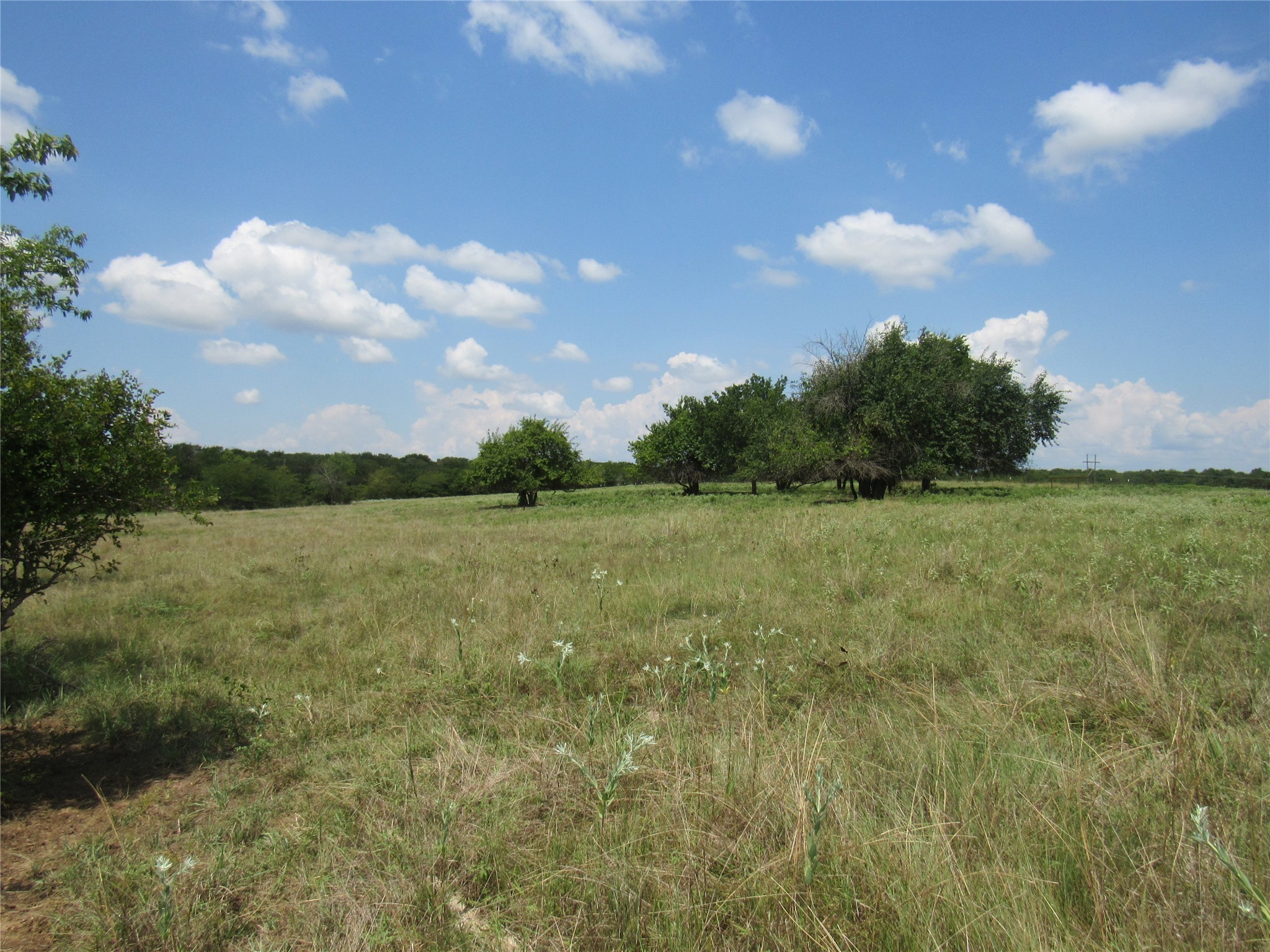 2464 County Road 1245 Savoy TX 75479