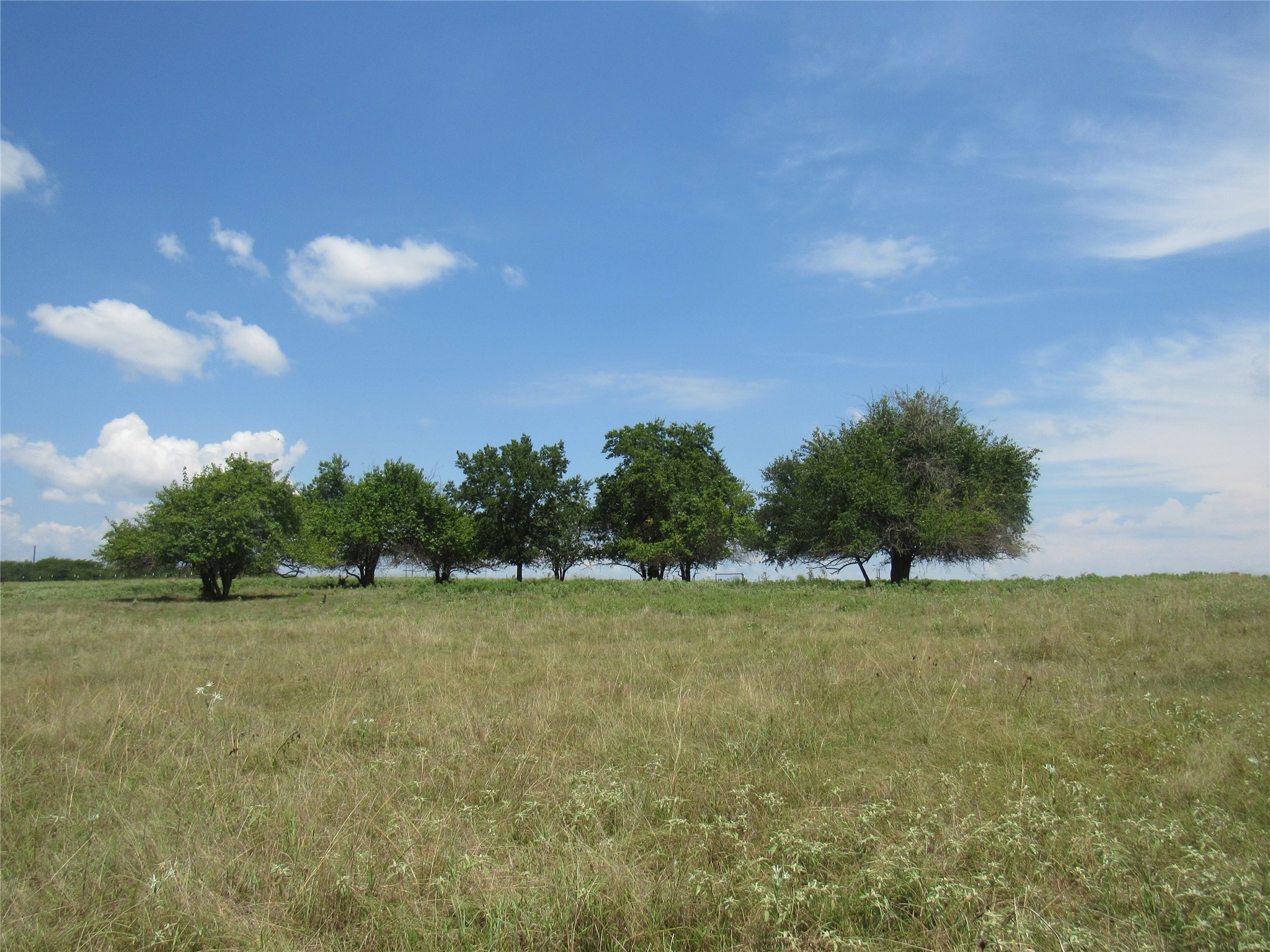 2464 County Road 1245 Savoy TX 75479