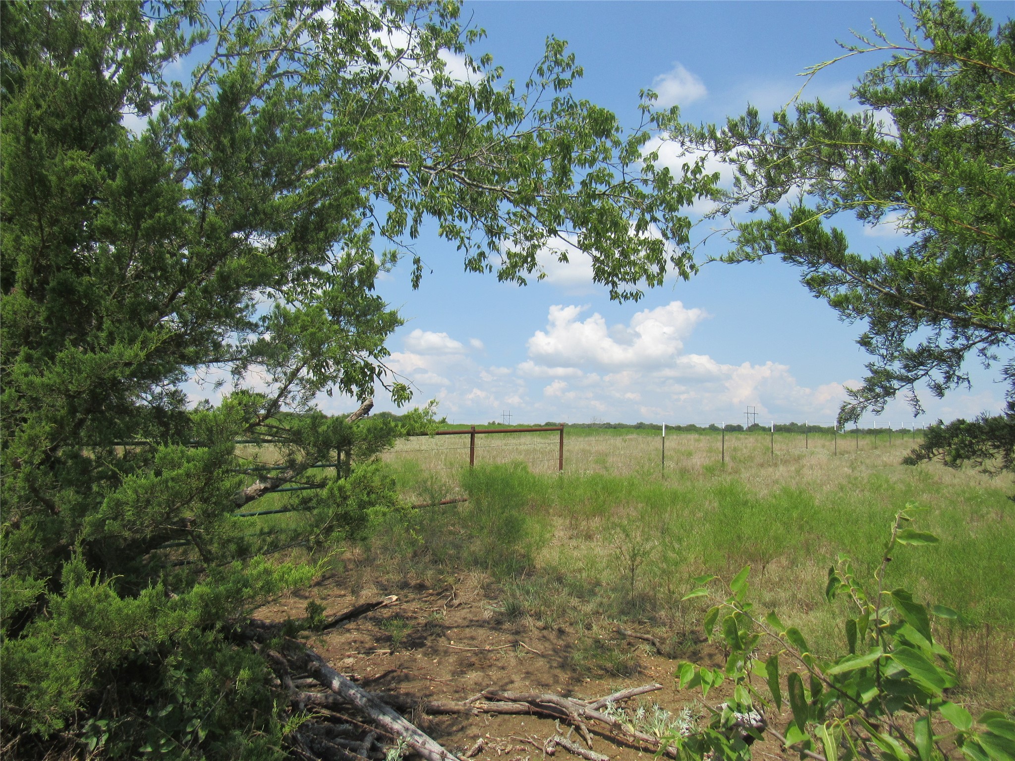 2464 County Road 1245 Savoy TX 75479