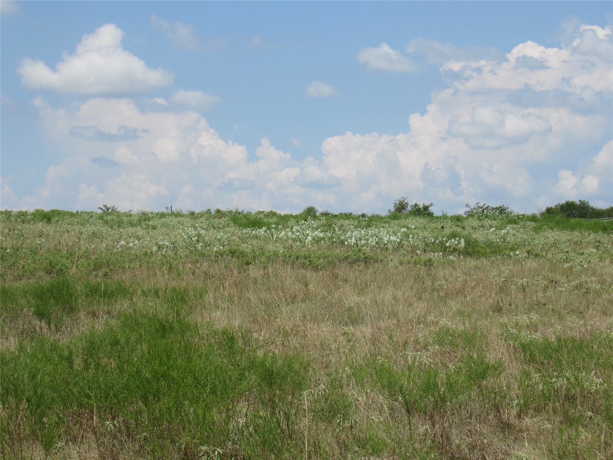 2464 County Road 1245 Savoy TX 75479