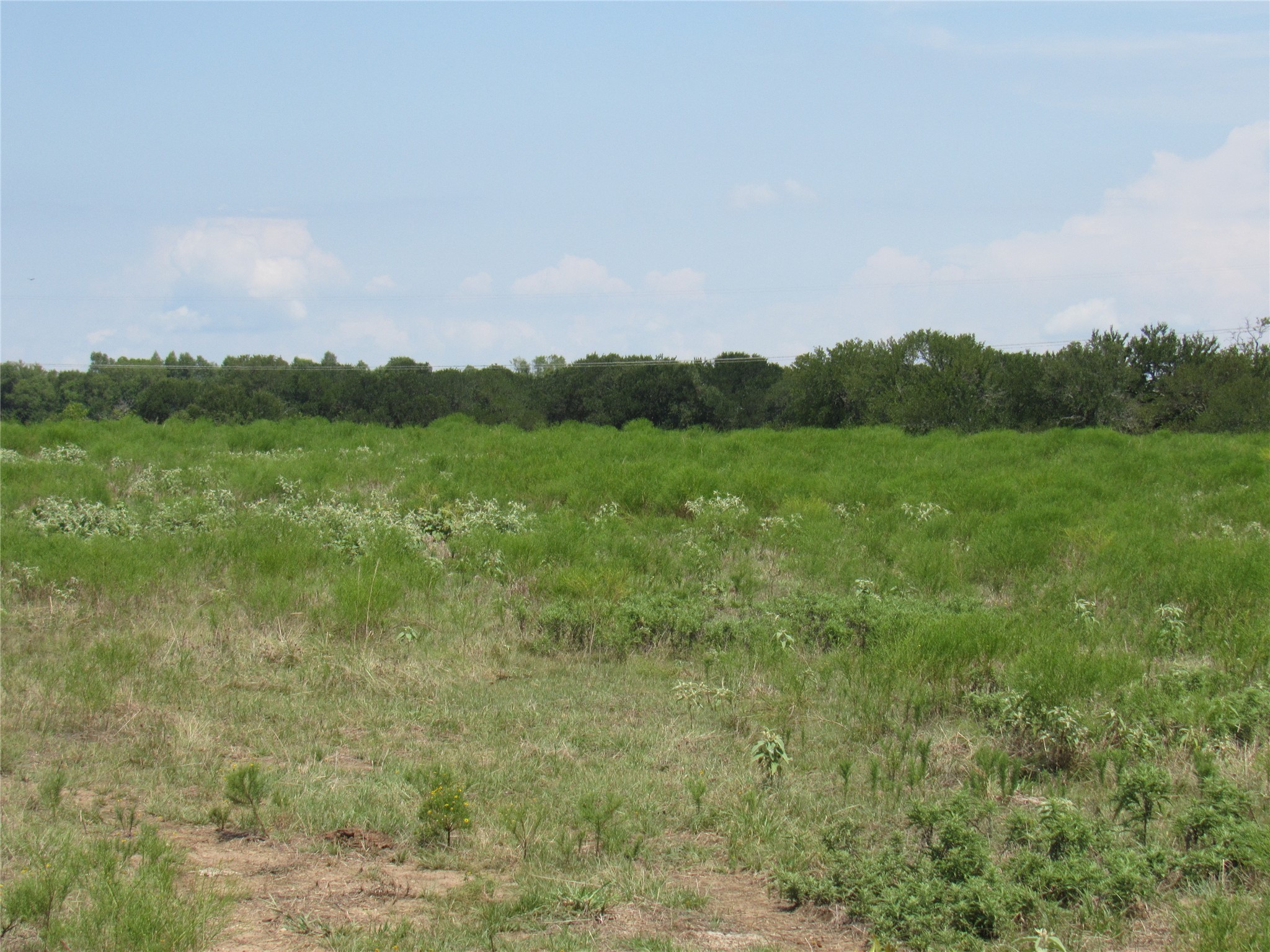 2464 County Road 1245 Savoy TX 75479