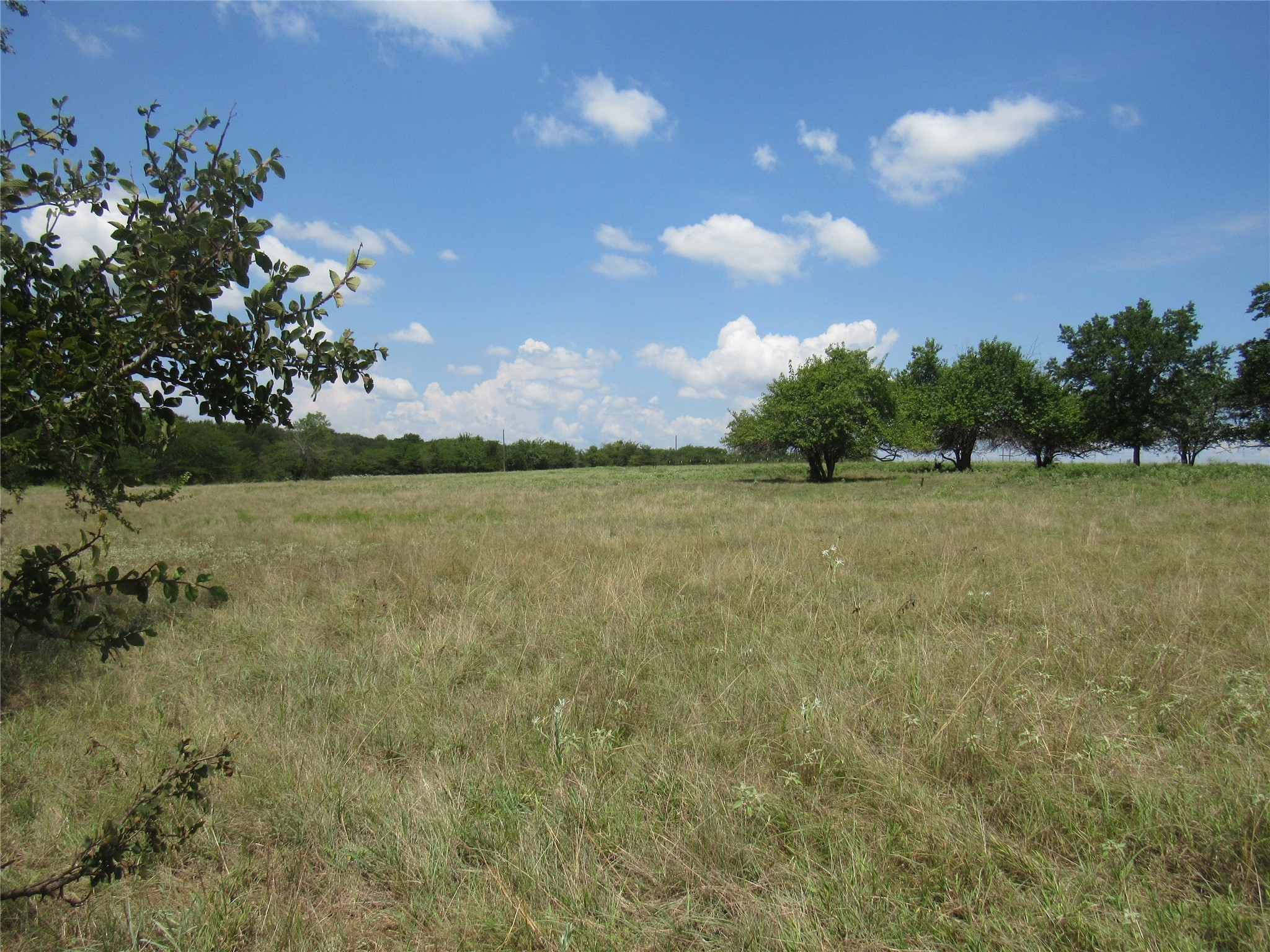 2464 County Road 1245 Savoy TX 75479