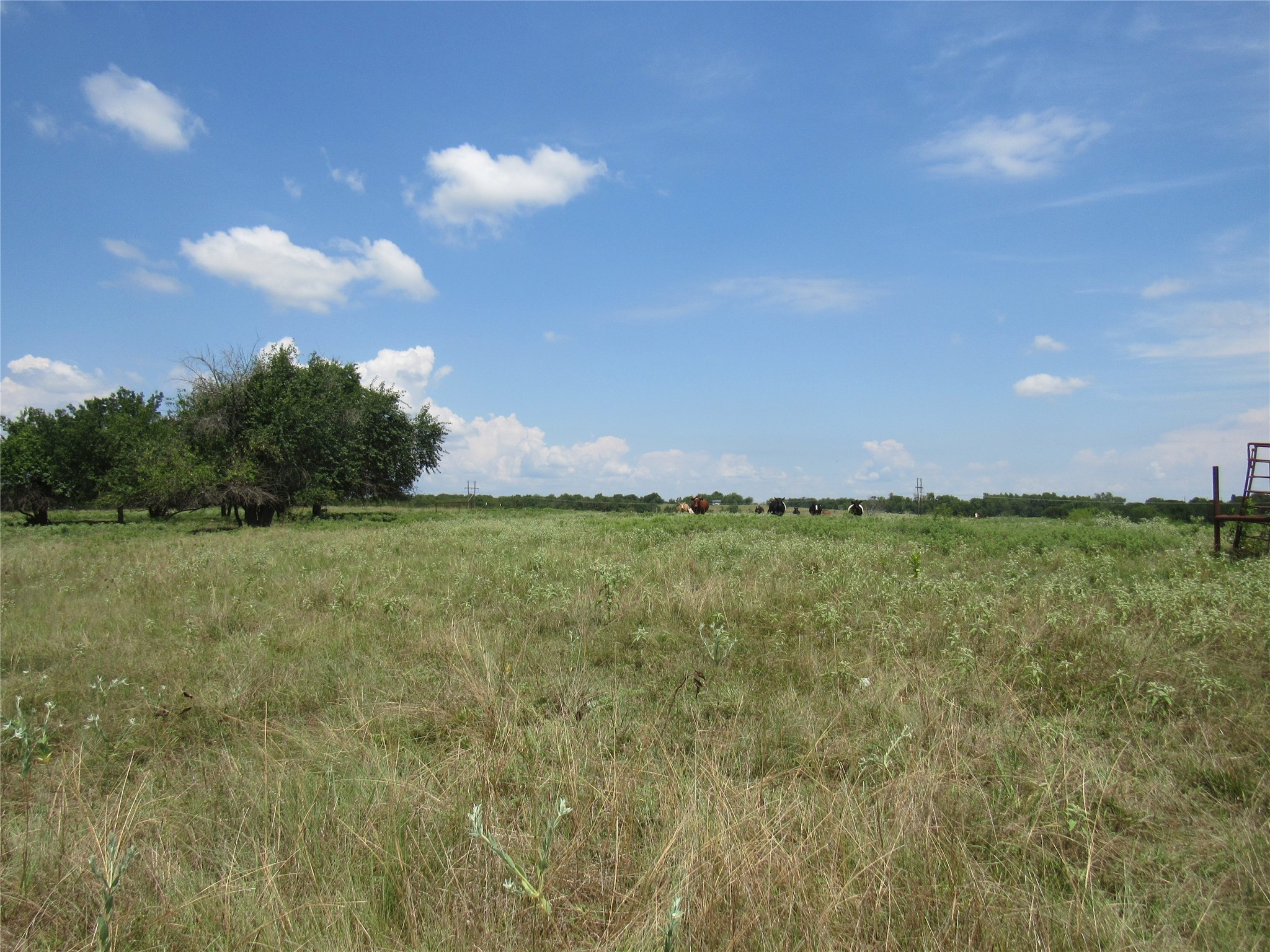 2464 County Road 1245 Savoy TX 75479