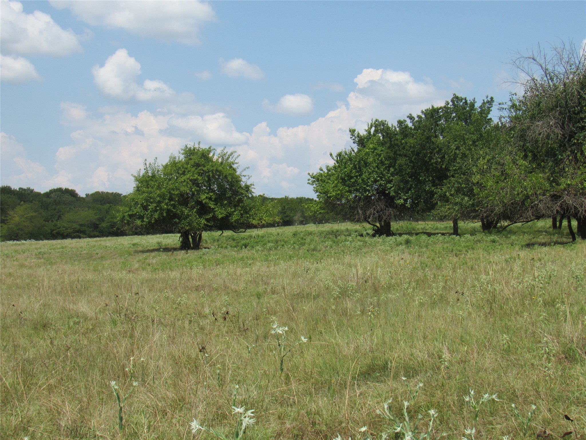 2464 County Road 1245 Savoy TX 75479