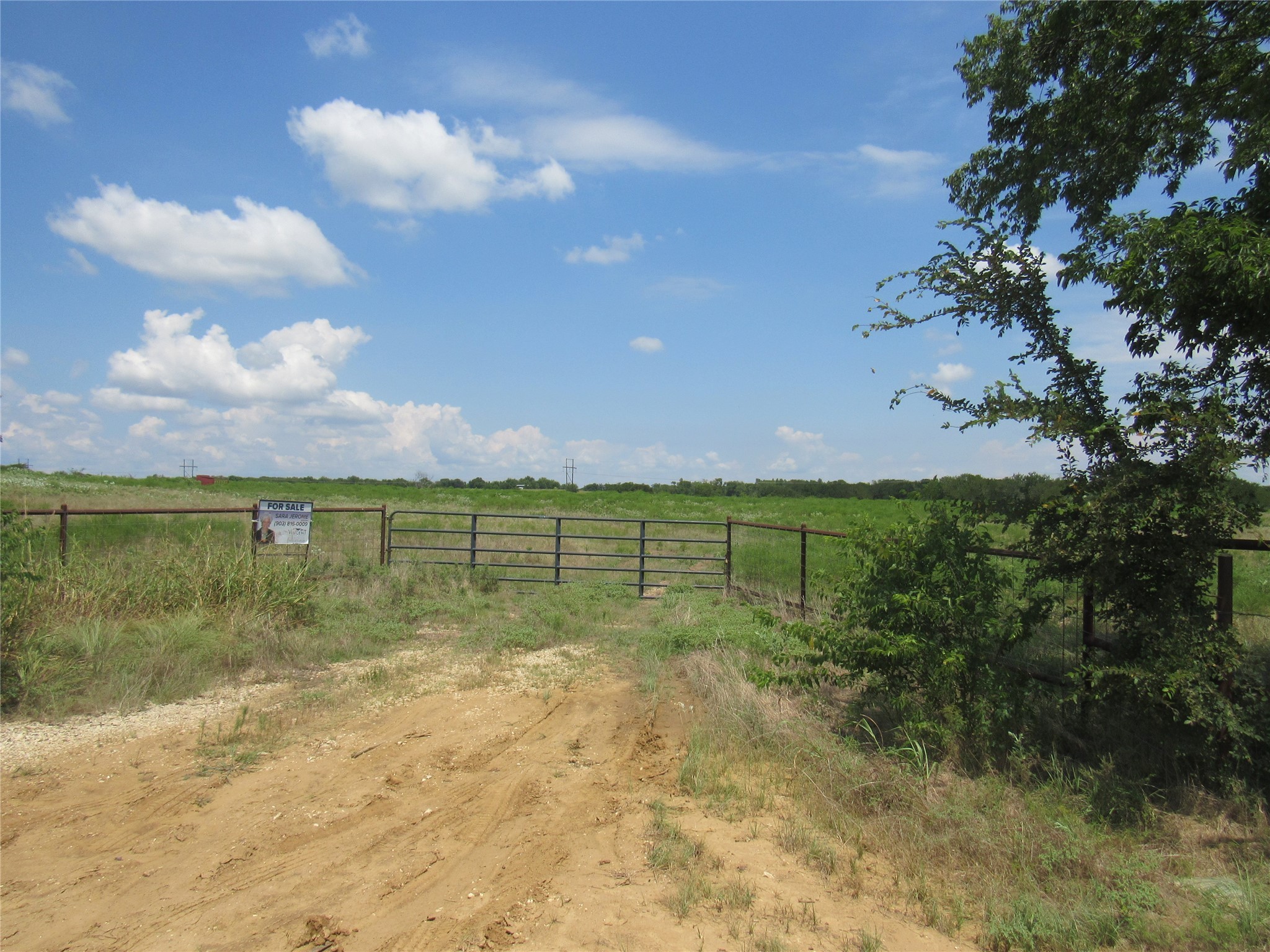 2464 County Road 1245 Savoy TX 75479