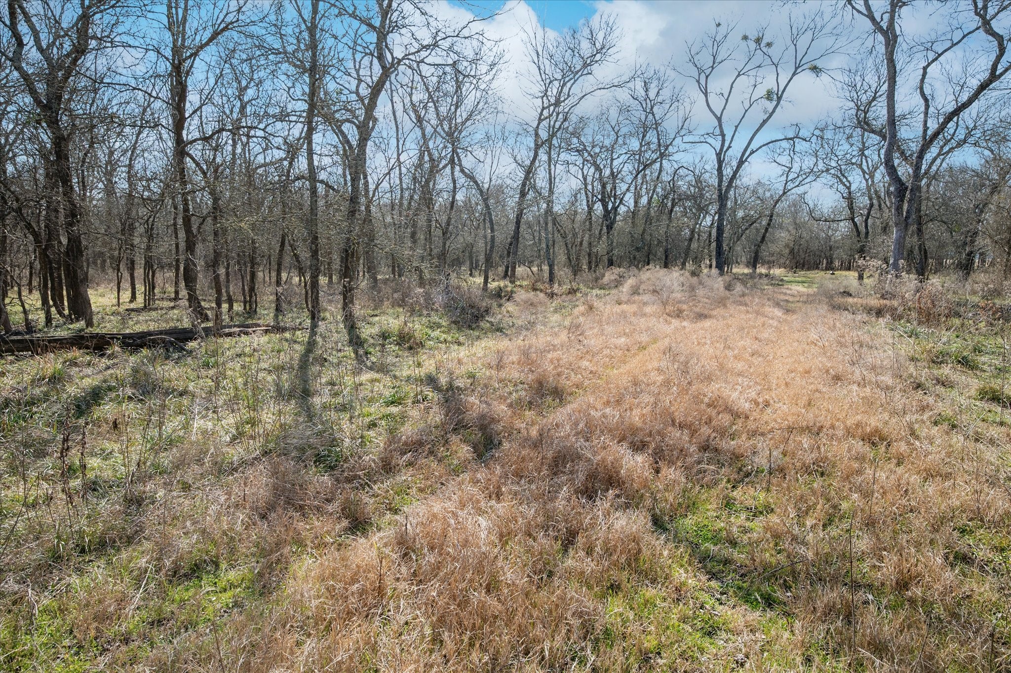 1100 Highpoint Royse City TX 75189