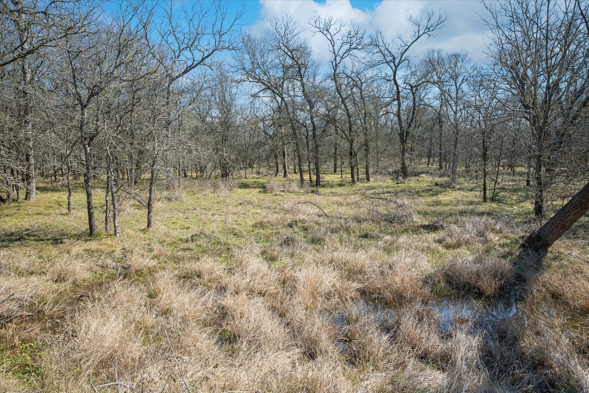 1100 Highpoint Royse City TX 75189