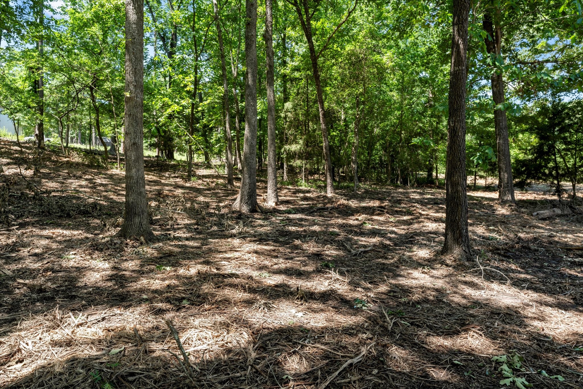 65R King Frederick Court Scroggins TX 75480