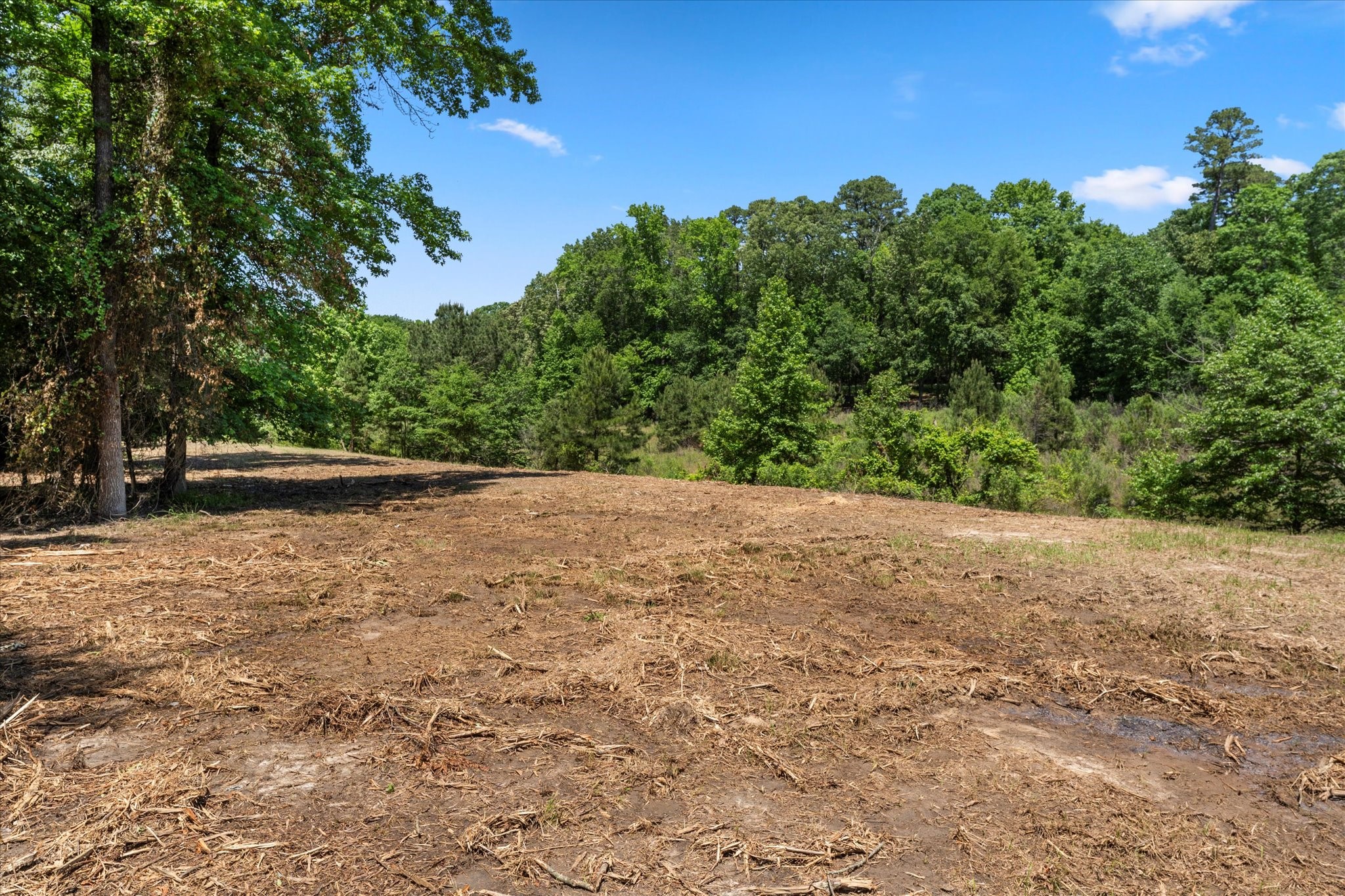 65R King Frederick Court Scroggins TX 75480