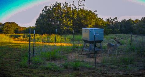 3601 County Road 188 Jonesboro TX 76538