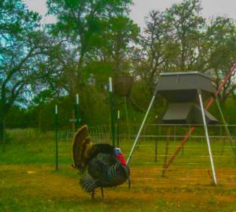 3601 County Road 188 Jonesboro TX 76538