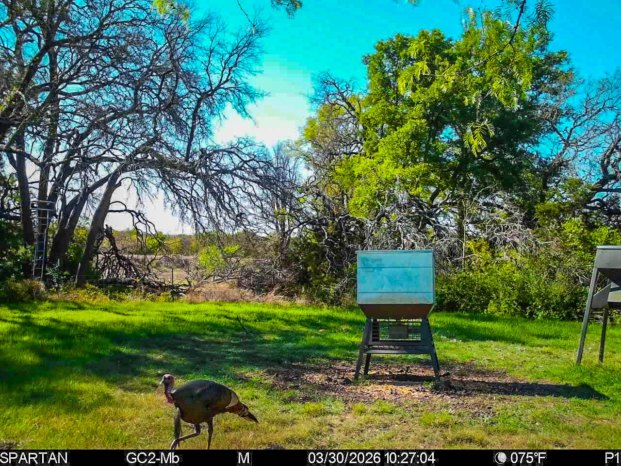 3601 County Road 188 Jonesboro TX 76538