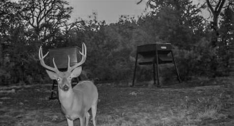 3601 County Road 188 Jonesboro TX 76538