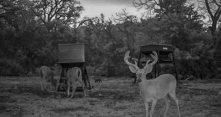 3601 County Road 188 Jonesboro TX 76538
