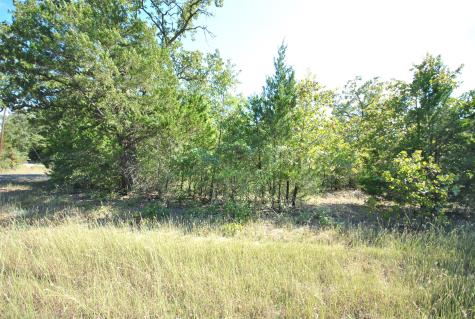 Lot 76 County Road 894 Drive Jewett TX 75846