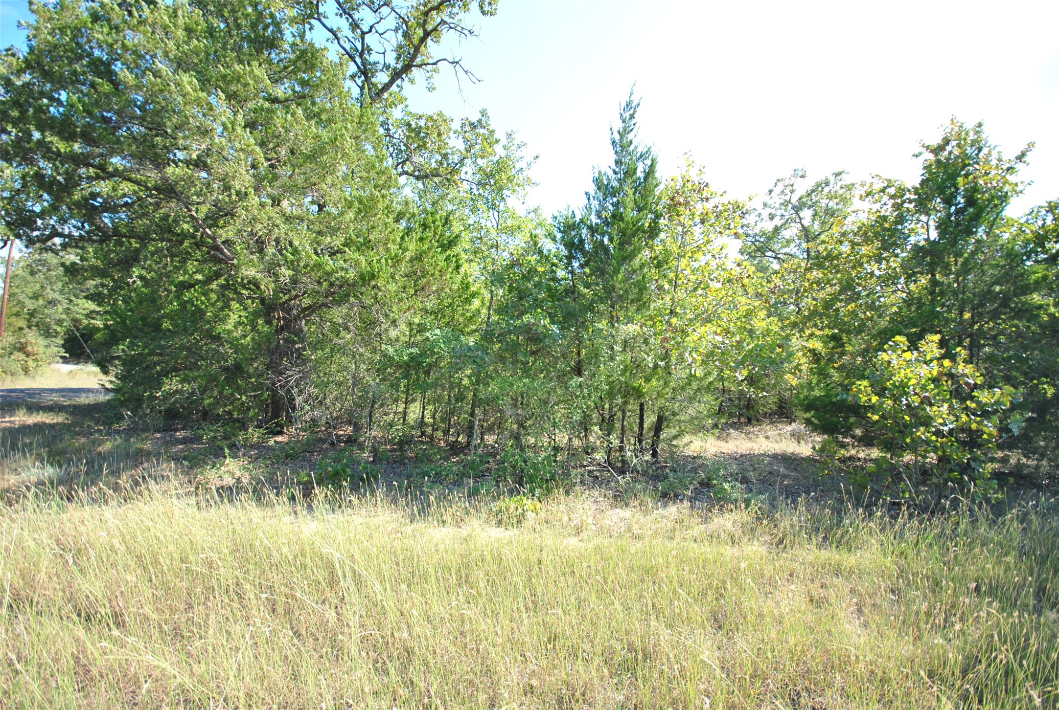 Lot 76 County Road 894 Drive Jewett TX 75846