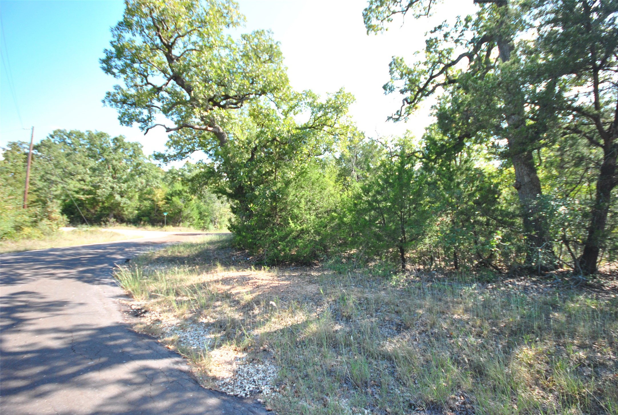 Lot 76 County Road 894 Drive Jewett TX 75846