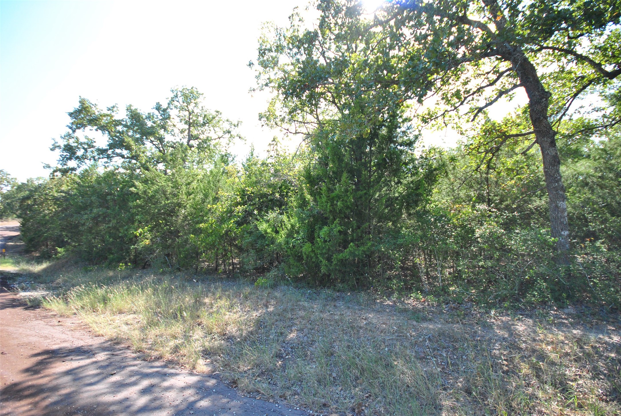Lot 76 County Road 894 Drive Jewett TX 75846