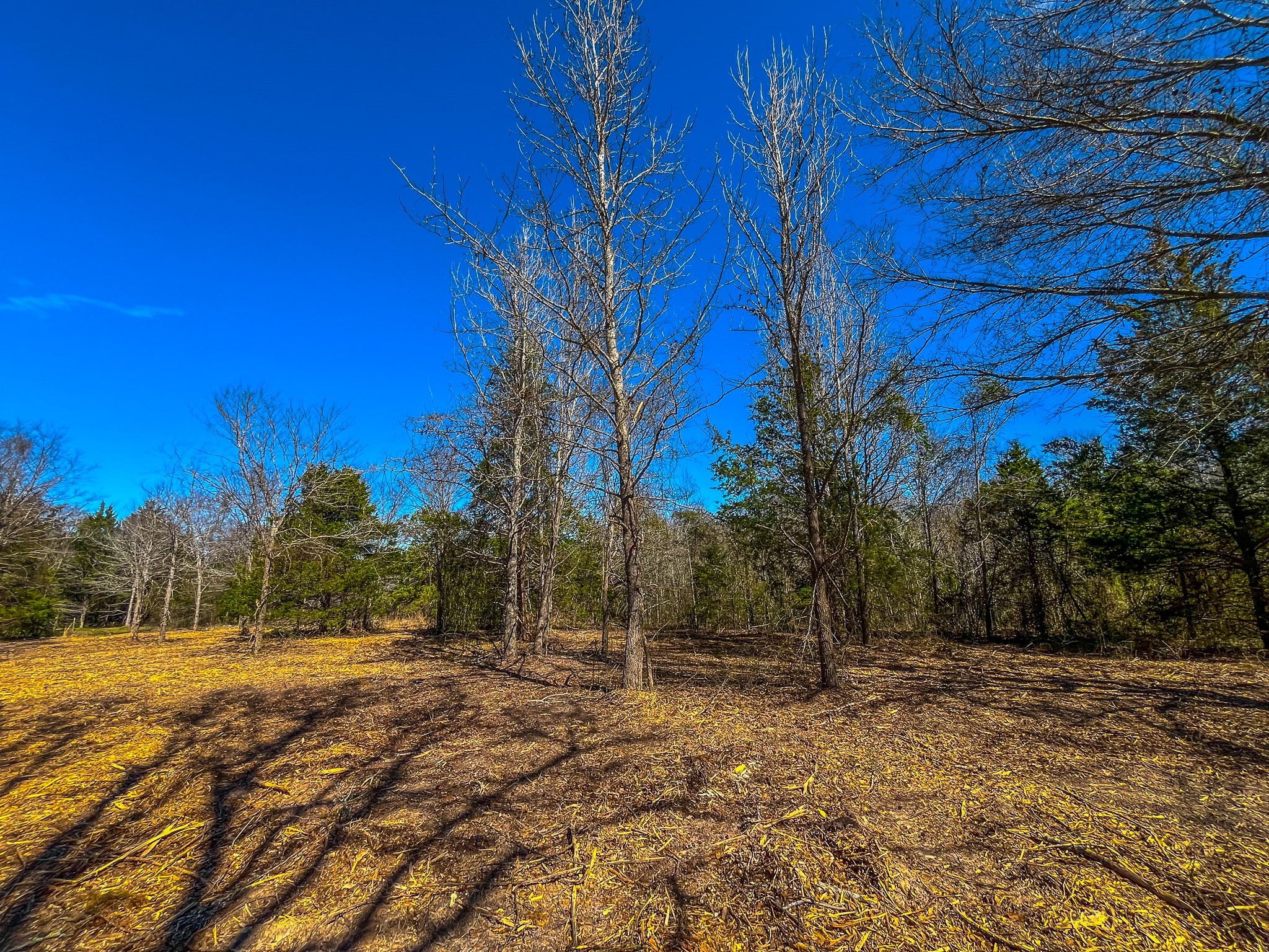 Tract 1 County Road 1713 Jacksonville TX 75766