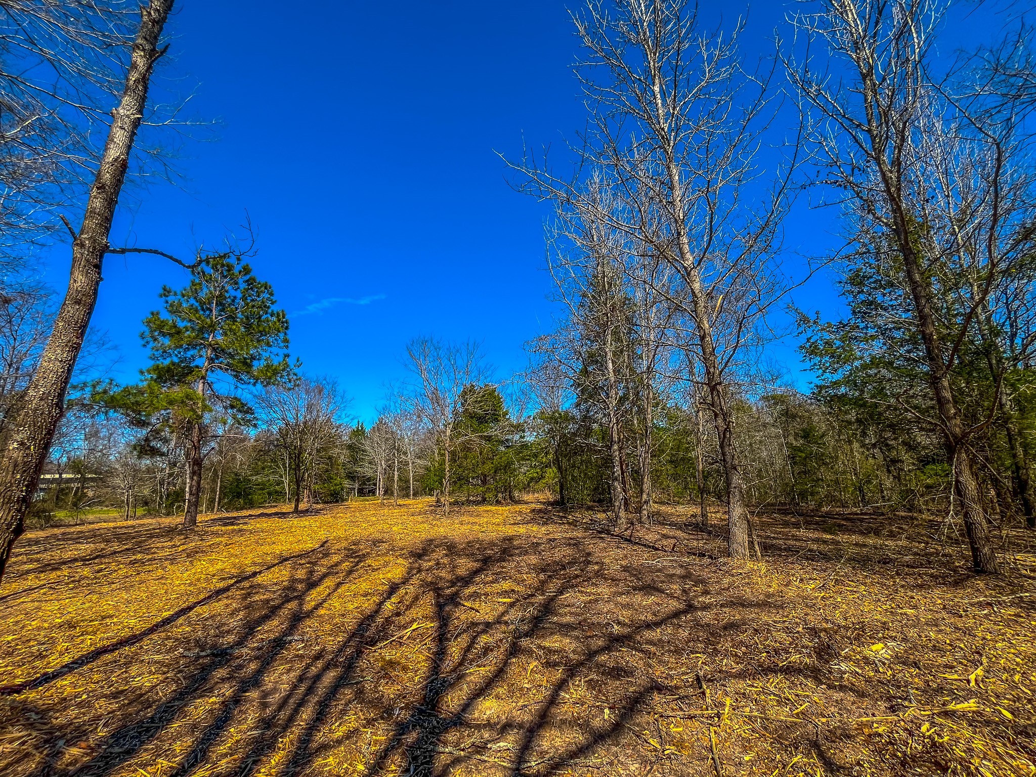 Tract 1 County Road 1713 Jacksonville TX 75766