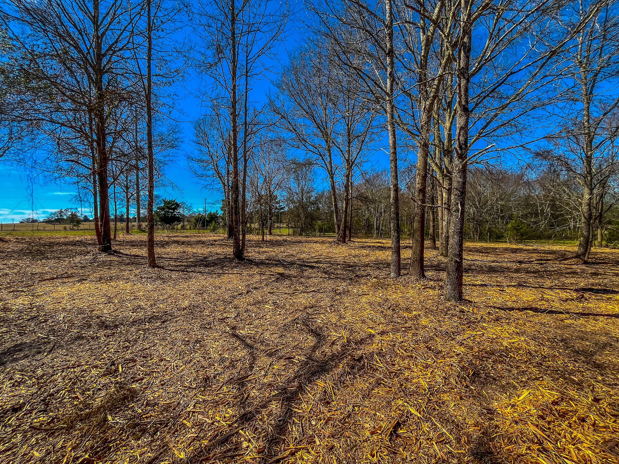 Tract 1 County Road 1713 Jacksonville TX 75766