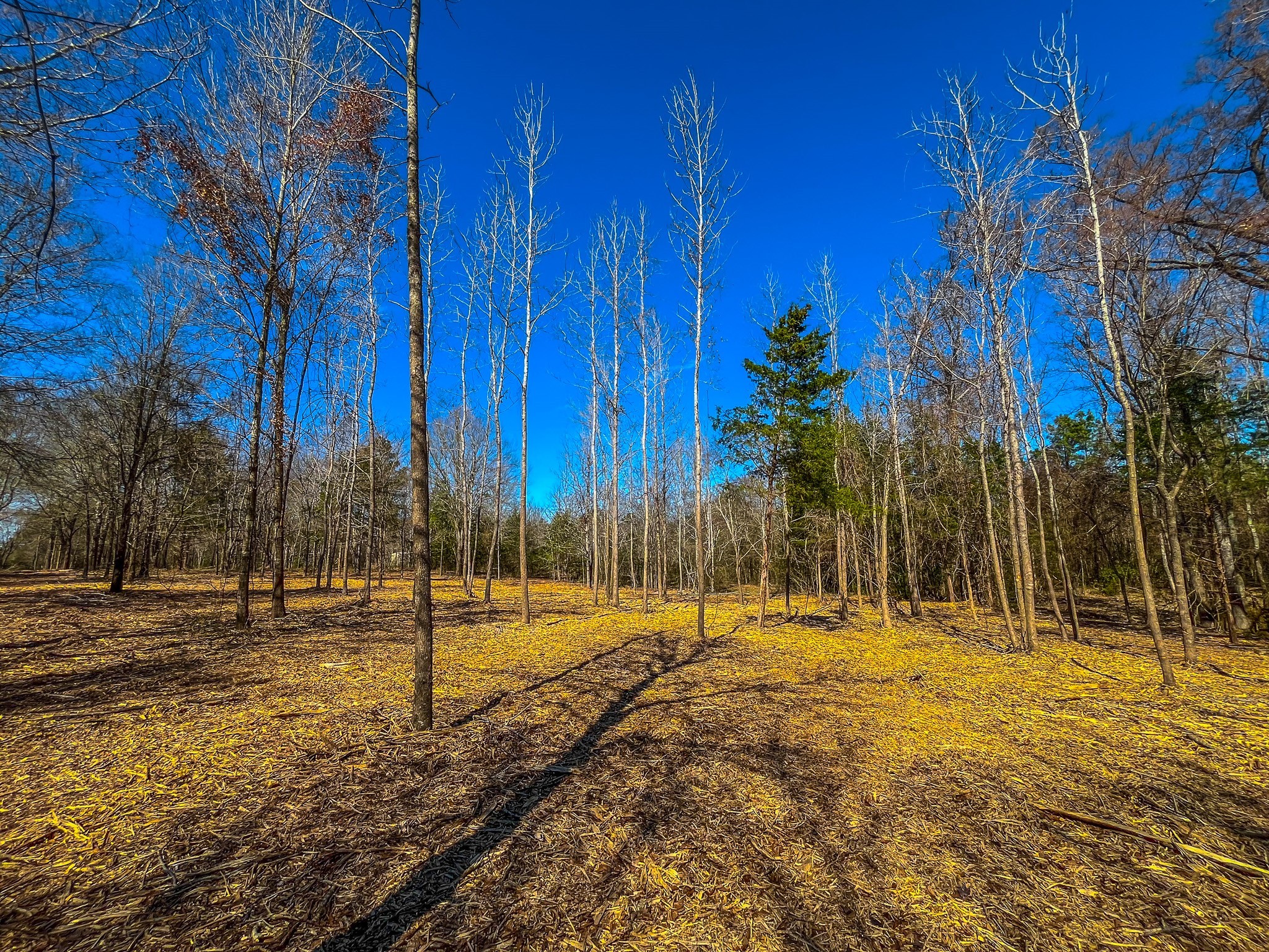 Tract 1 County Road 1713 Jacksonville TX 75766