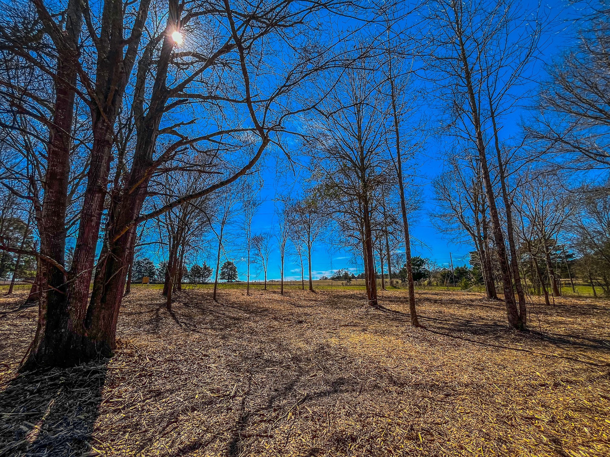 Tract 1 County Road 1713 Jacksonville TX 75766