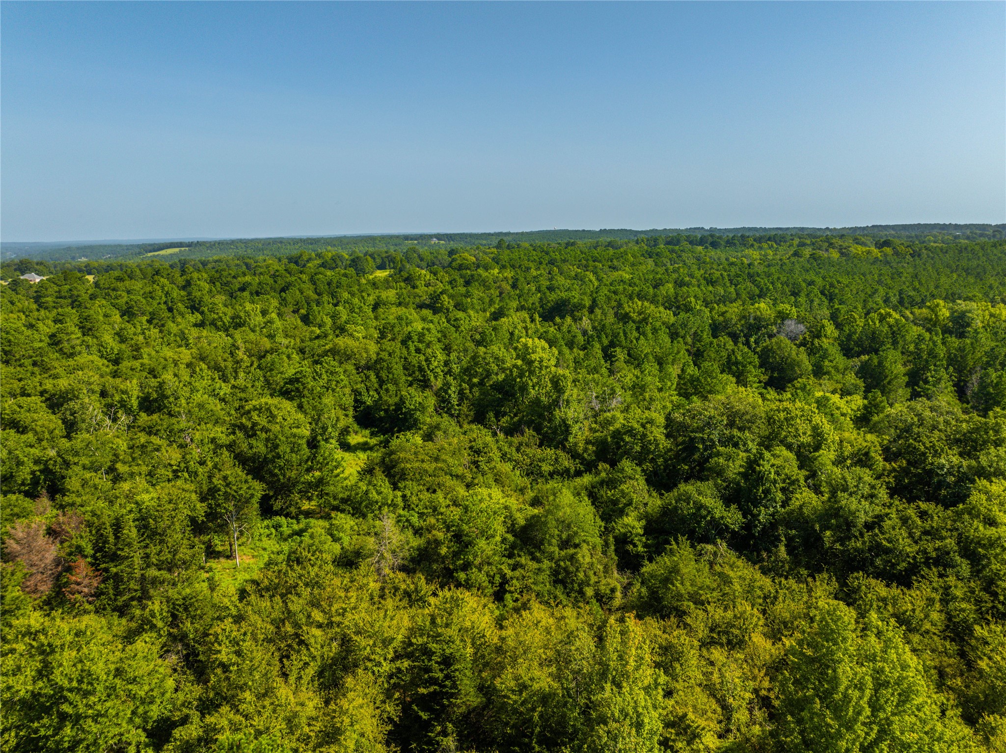 Tract 1 County Road 1713 Jacksonville TX 75766