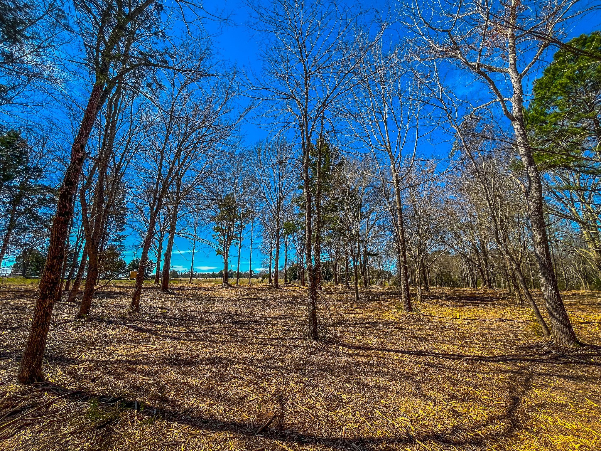 Tract 1 County Road 1713 Jacksonville TX 75766