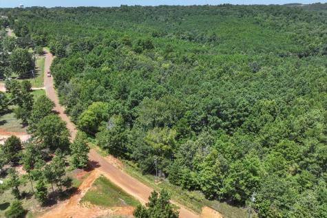 Tract 1 County Road 4102 Jacksonville TX 75766