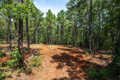 Tract 1 County Road 4102 Jacksonville TX 75766