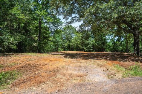 Tract 1 County Road 4102 Jacksonville TX 75766
