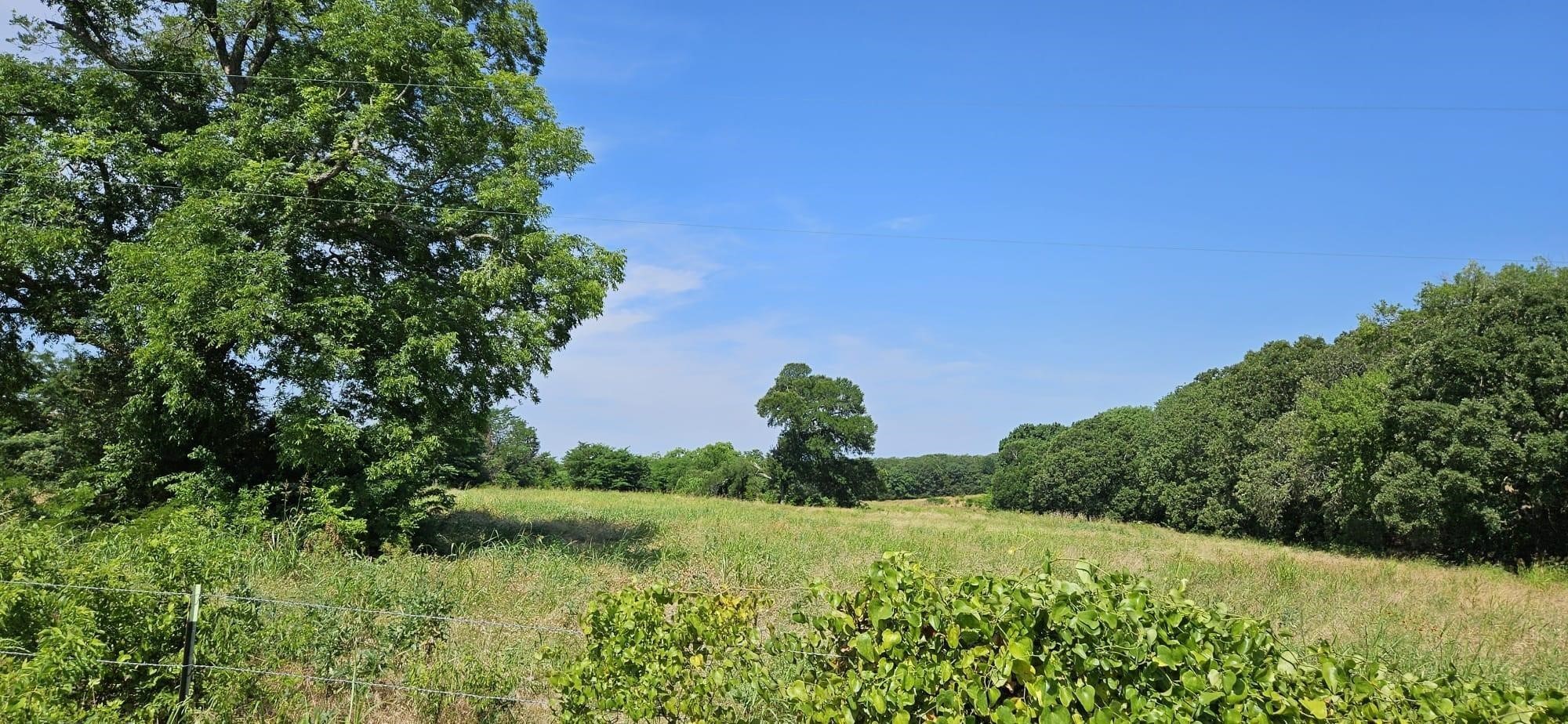 1651 Desvoignes Road Denison TX 75021