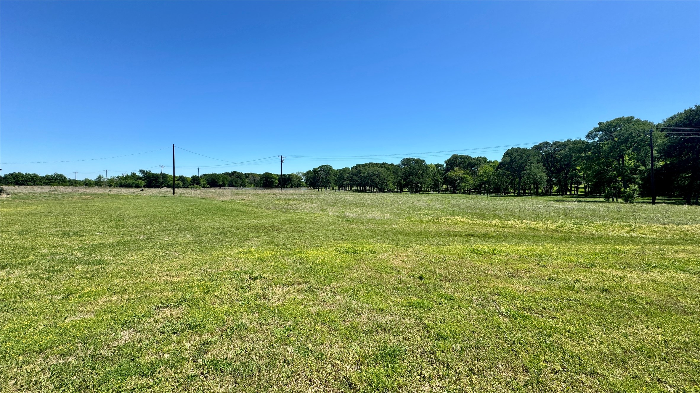 2985 Fm 751 Wills Point TX 75169