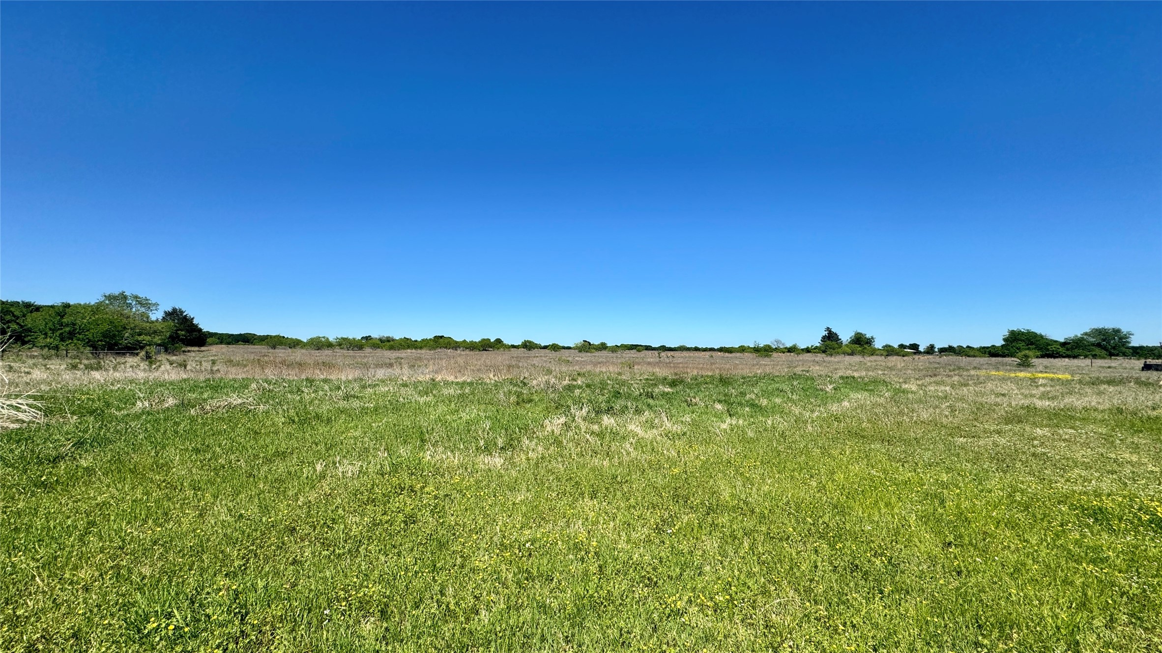 2985 Fm 751 Wills Point TX 75169