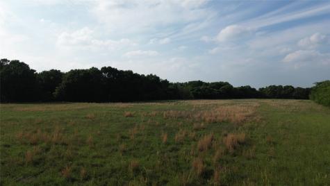 Lot 1 County Road 4072 Kemp TX 75143