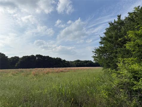 Lot 1 County Road 4072 Kemp TX 75143