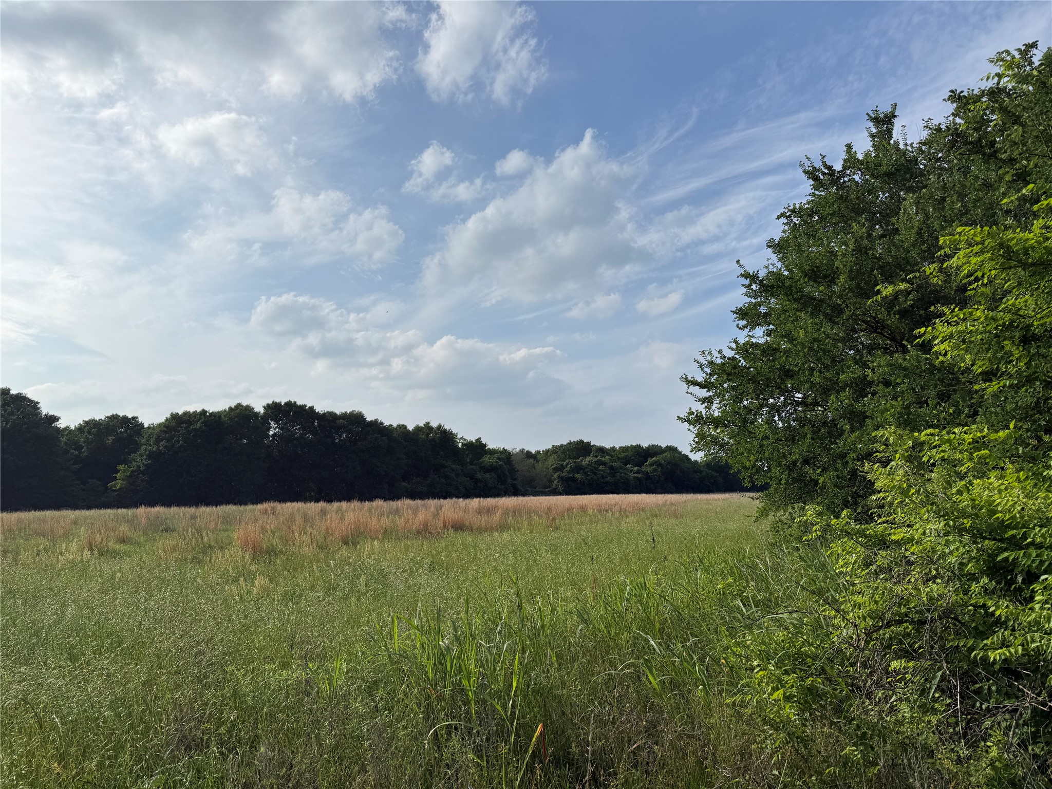 Lot 1 County Road 4072 Kemp TX 75143
