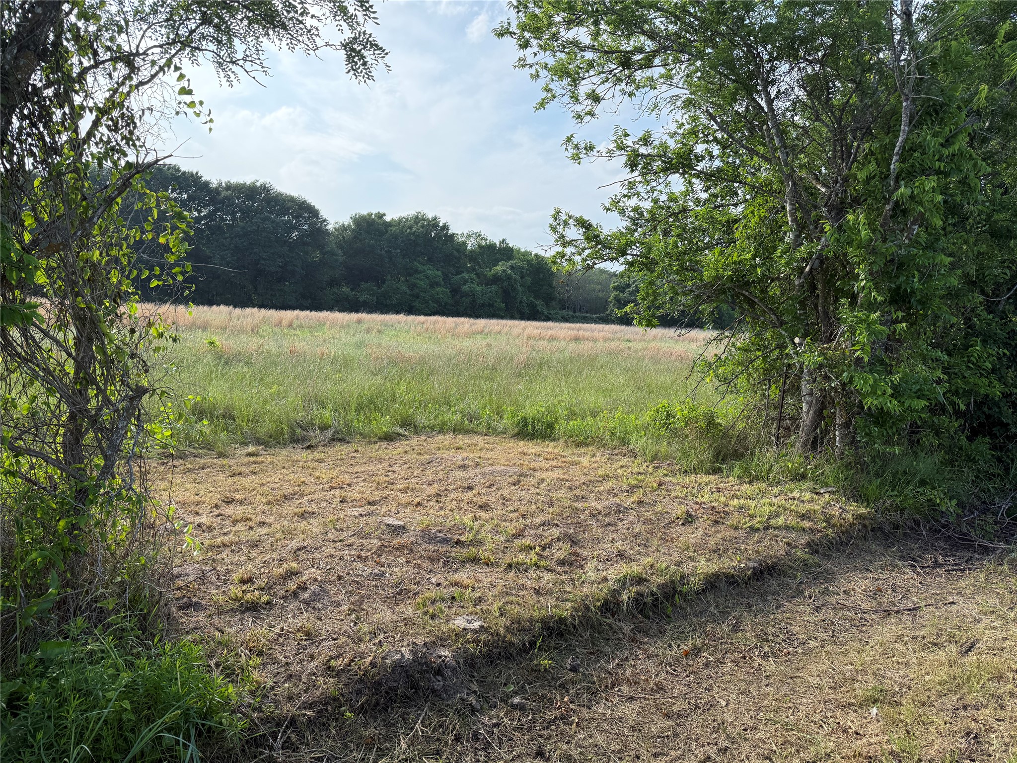 Lot 1 County Road 4072 Kemp TX 75143