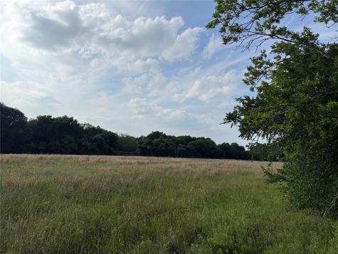 Lot 1 County Road 4072 Kemp TX 75143