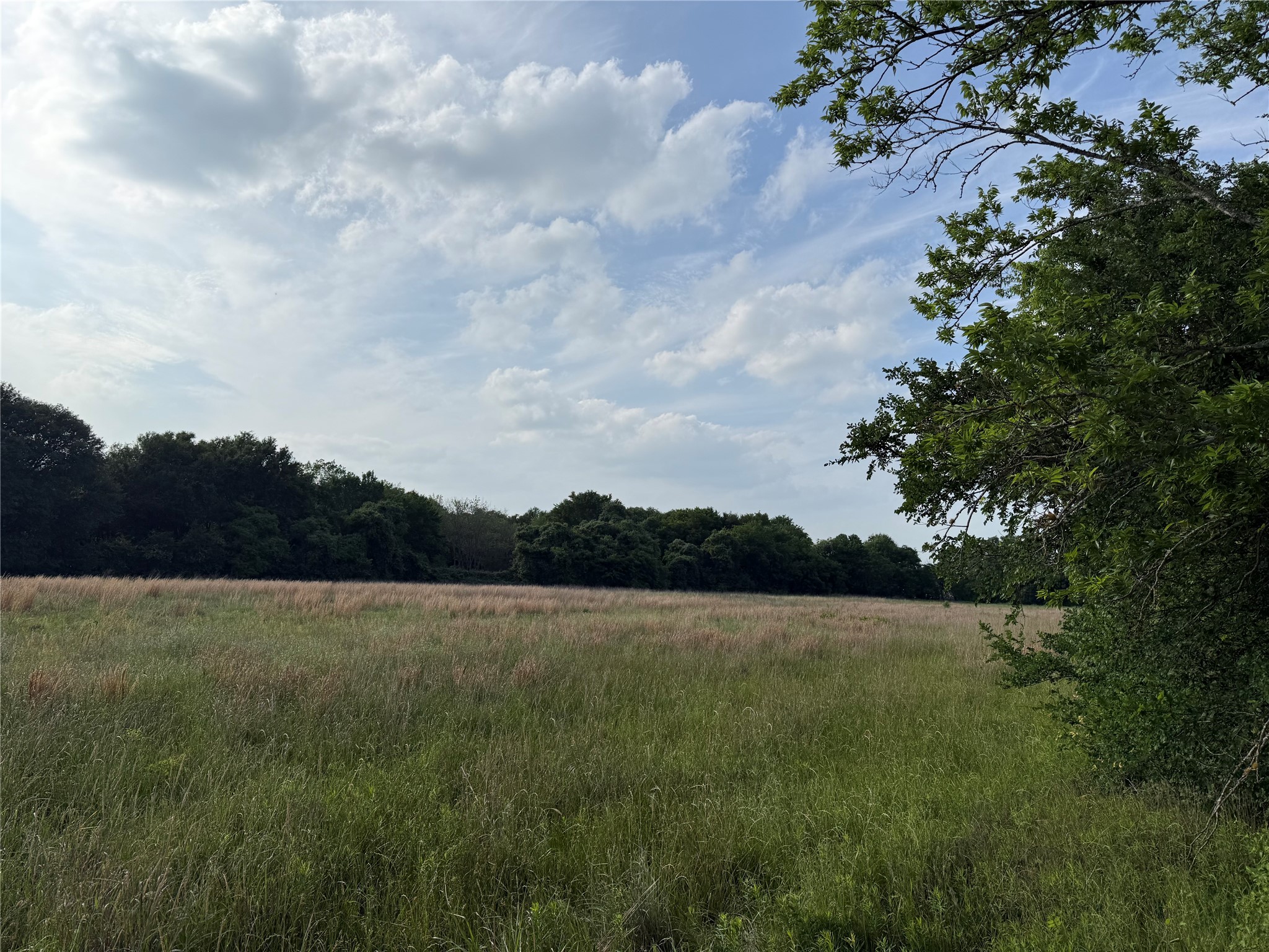 Lot 1 County Road 4072 Kemp TX 75143