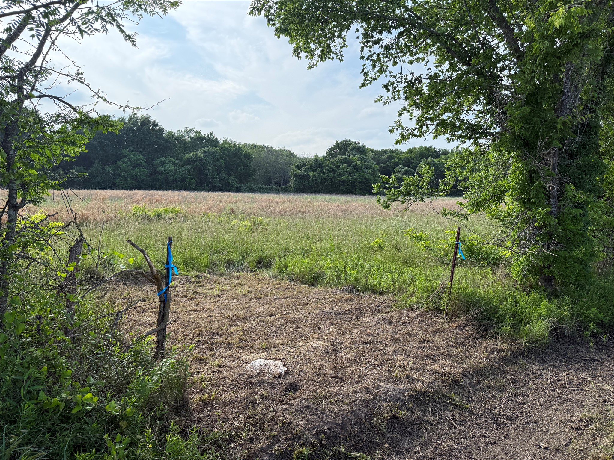Lot 1 County Road 4072 Kemp TX 75143