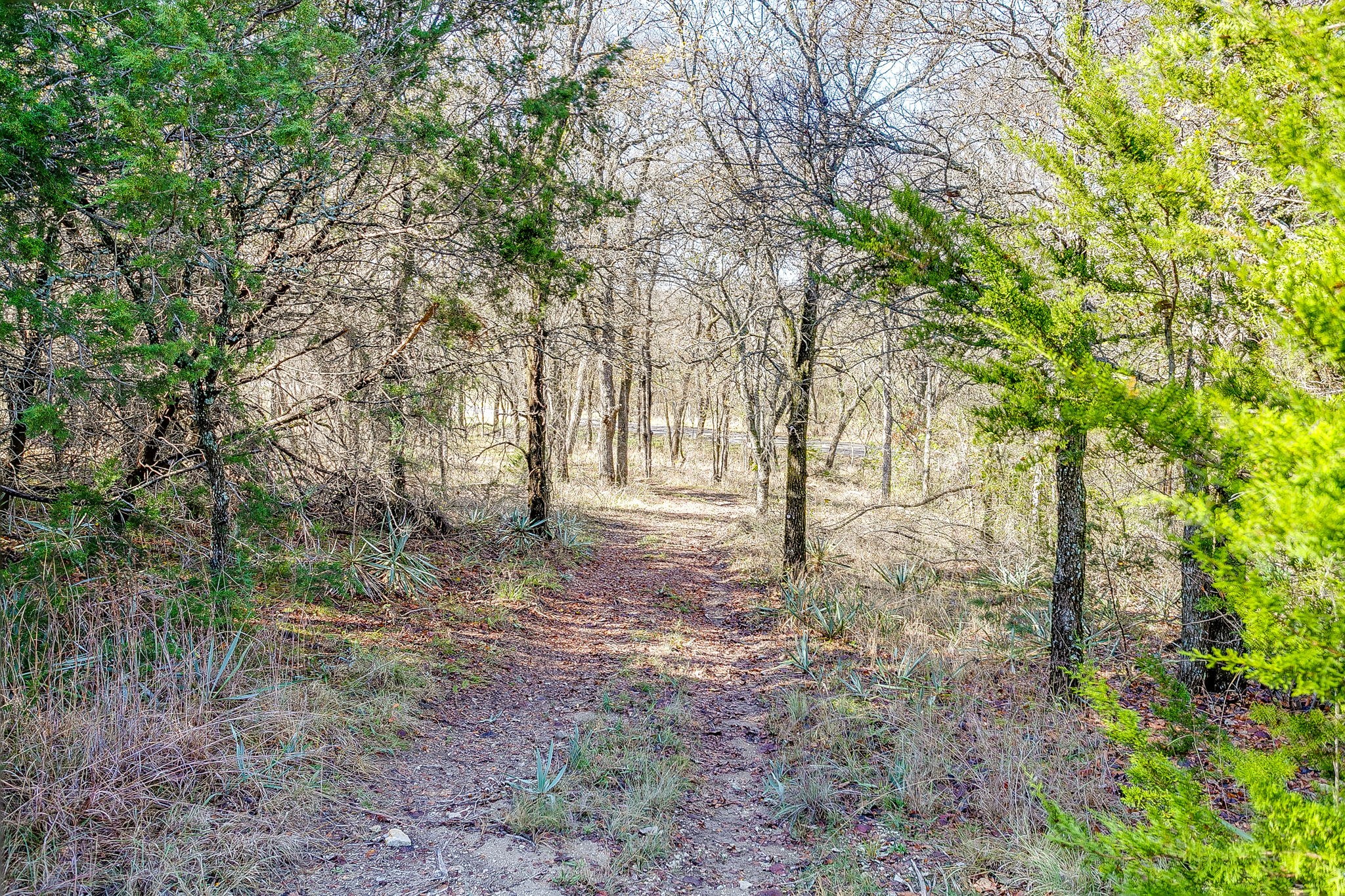 6267 Ben Day Murrin Road Fort Worth TX 76126